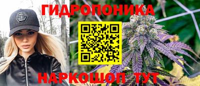 кокс Краснодар