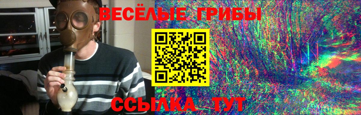 Псилоцибиновые грибы MAGIC MUSHROOMS Ефремов